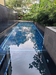 The Orient (D5), Apartment #553044171